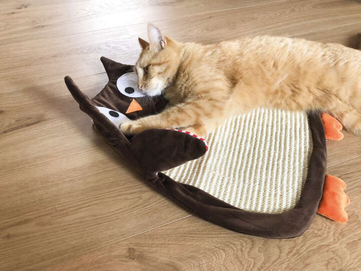 Sisal-Kratzbrett Eule